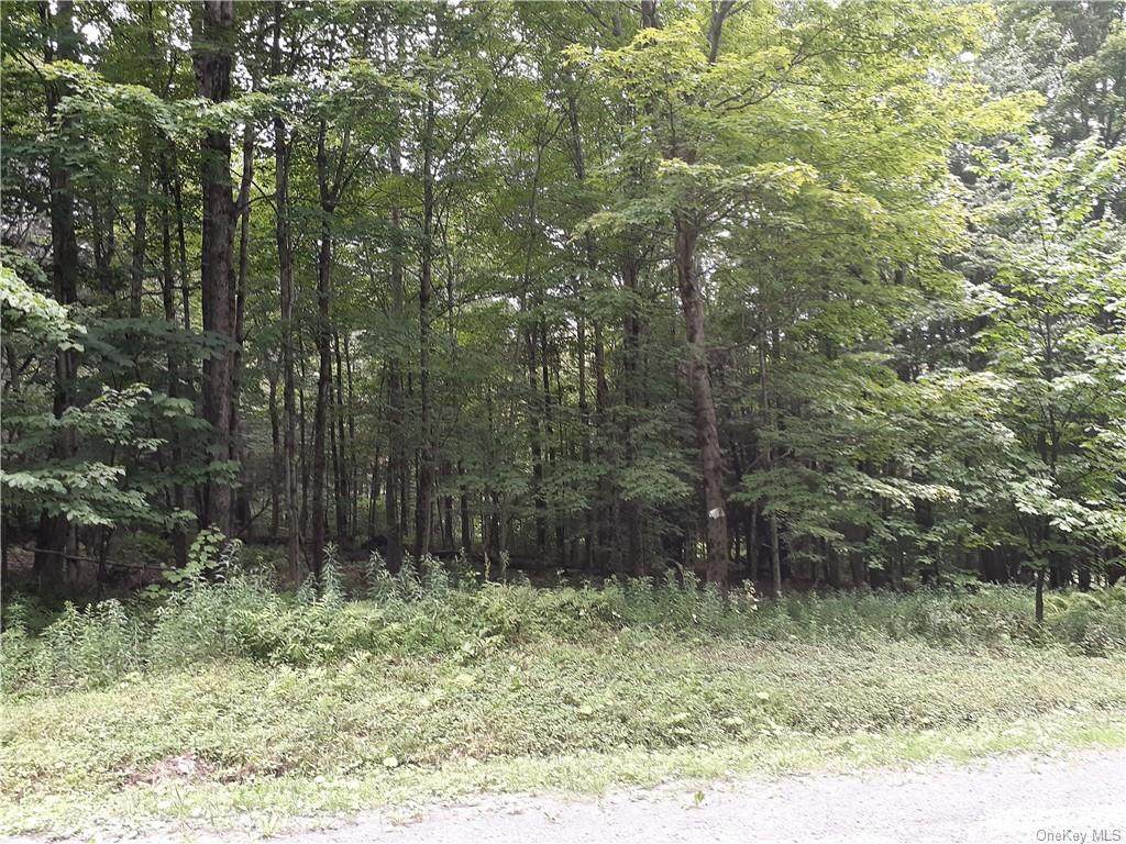 Bowers Road - Photo 1