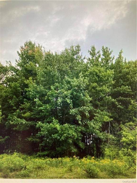 State Route 55 - Photo 1