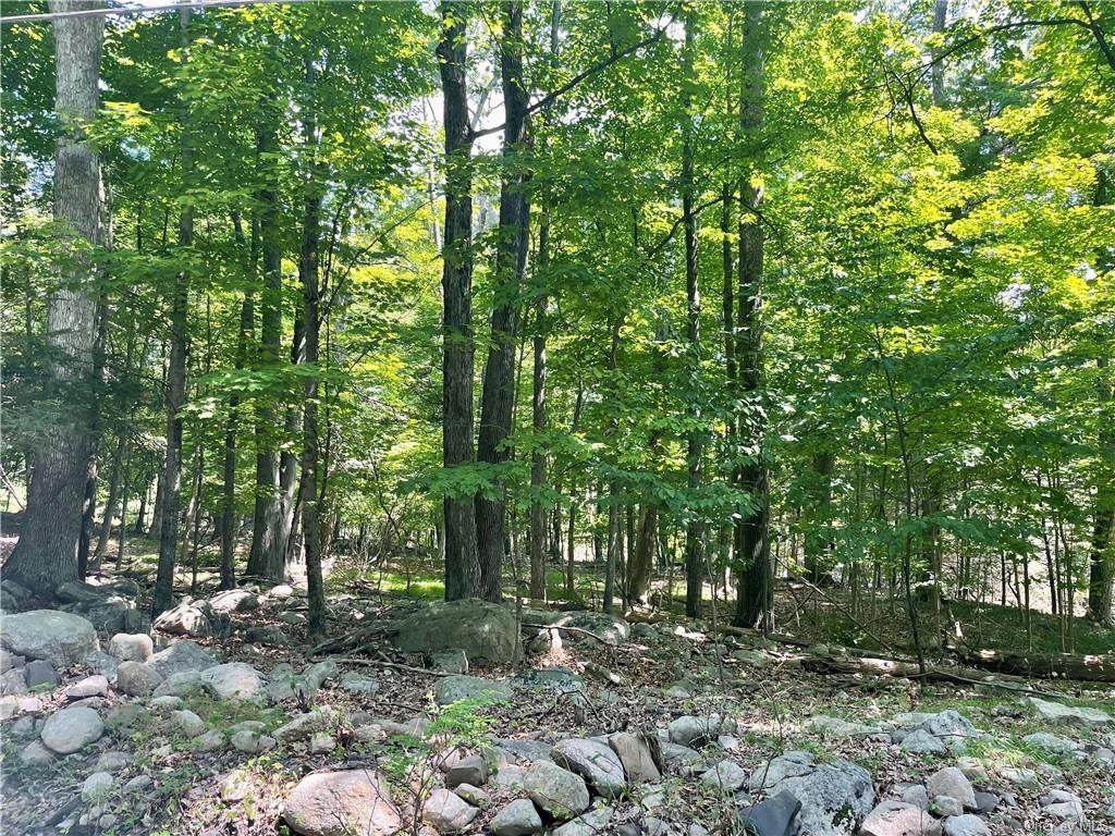 Lenni Lenape Avenue - Photo 1