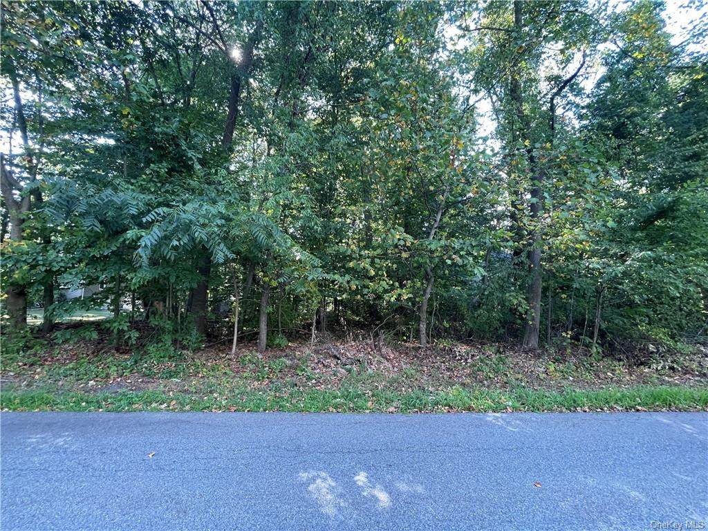 2991 Hickory Street - Photo 1