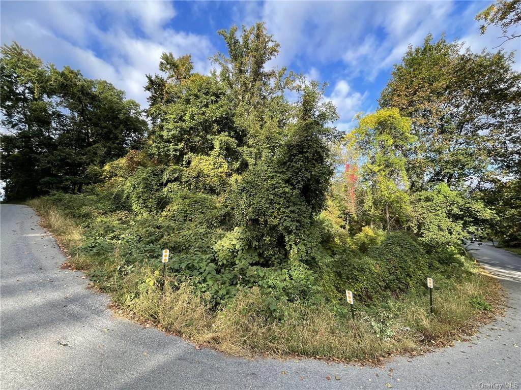 0 Rick Lane - Photo 1
