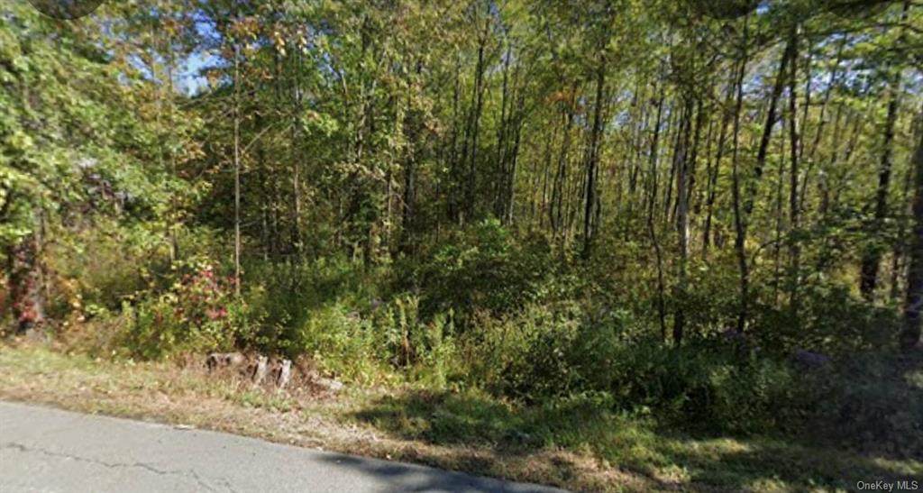 2190 State Route 208 - Photo 1