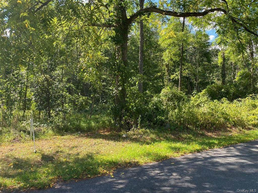 TBD Elting Corners Road - Photo 1