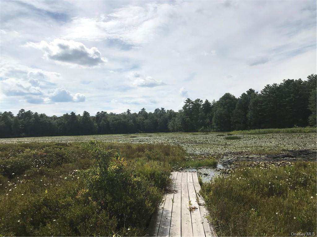 Dear Meadow Rd - Black Lake Estates Lot 4 - Photo 1