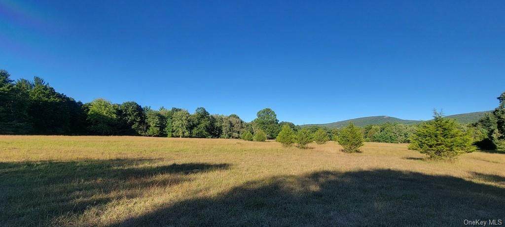 Meyerson Road - Photo 1