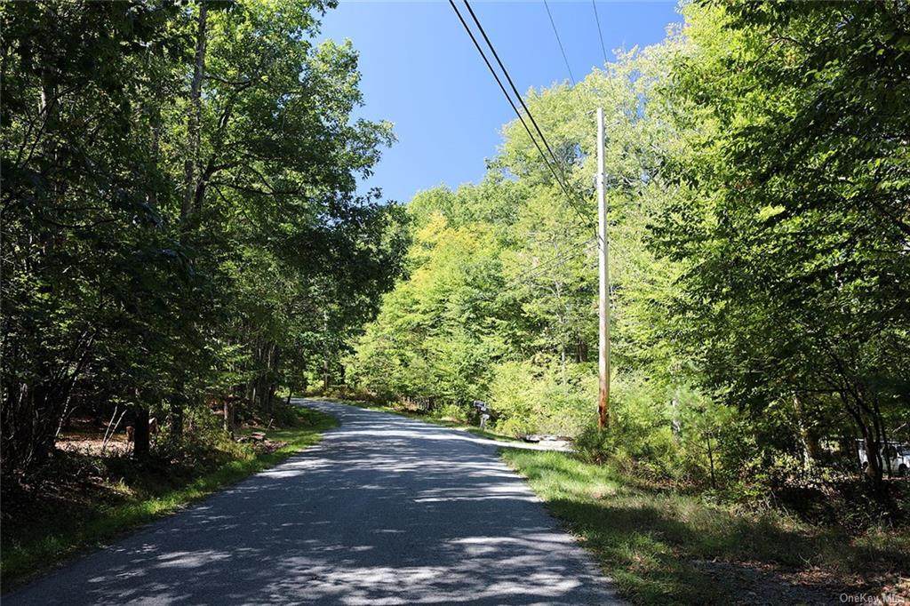 0 New Turnpike Road - Photo 1