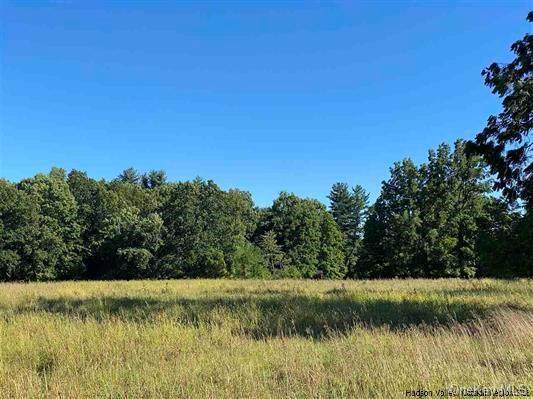 TBD Mill Hook Road - Photo 1