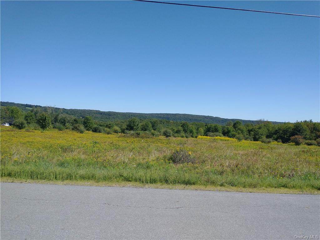Stump Pond Road - Photo 1