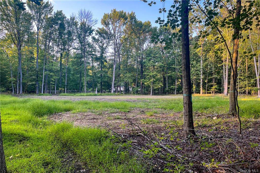 219 Route 9W - Photo 1