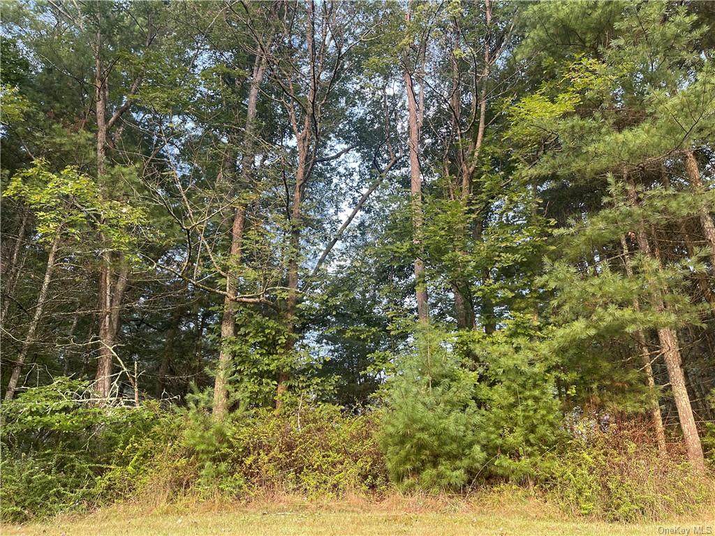 961 State Route 42 - Photo 1