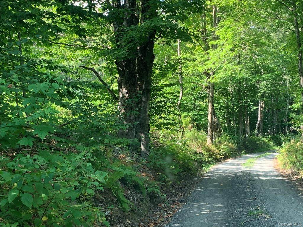 Bethlehem Tr12 Road - Photo 1