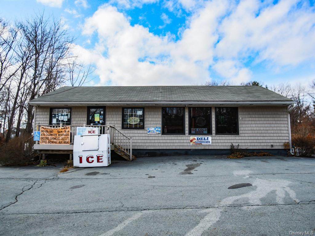 437 Route 209 - Photo 1