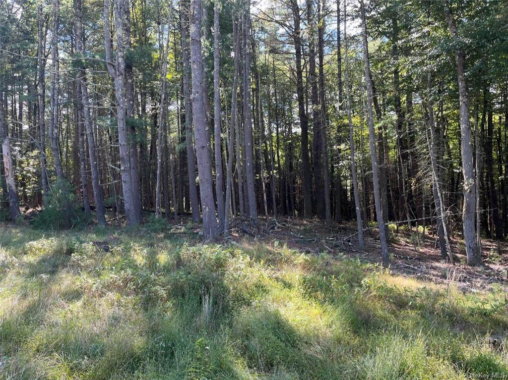 Nys 97 - Photo 1