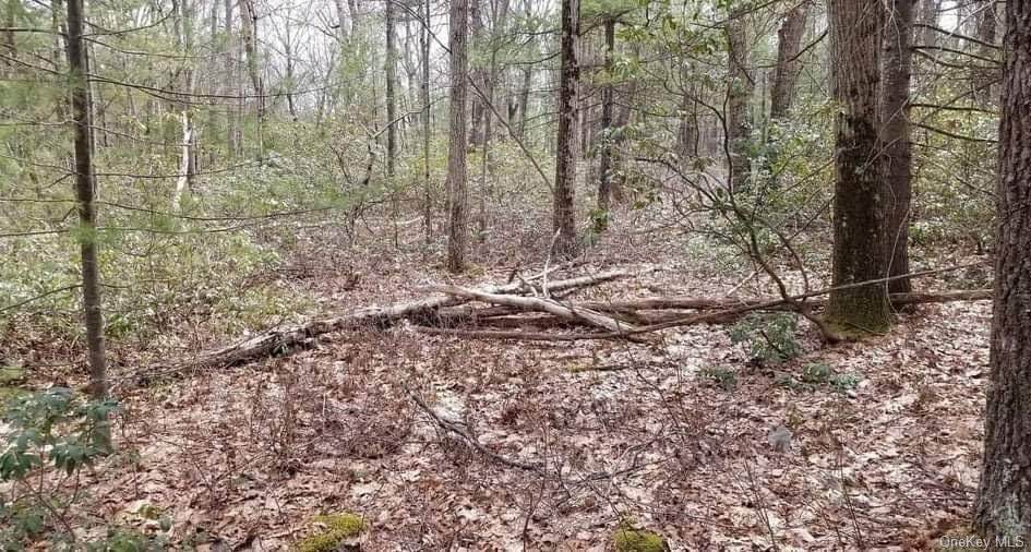 Hallenbach Road - Photo 1