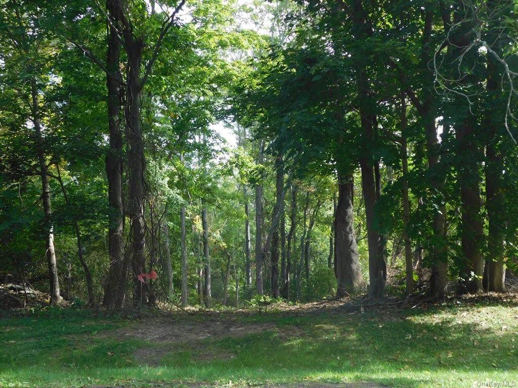 Union Avenue - Photo 1