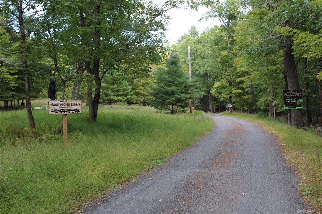 TBD Lot 4 Beehive Road - Photo 1