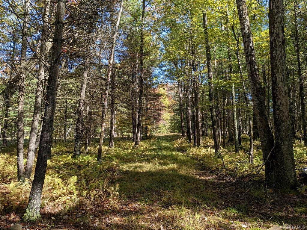 Lot #69 Mathais Weiden Drive - Photo 1