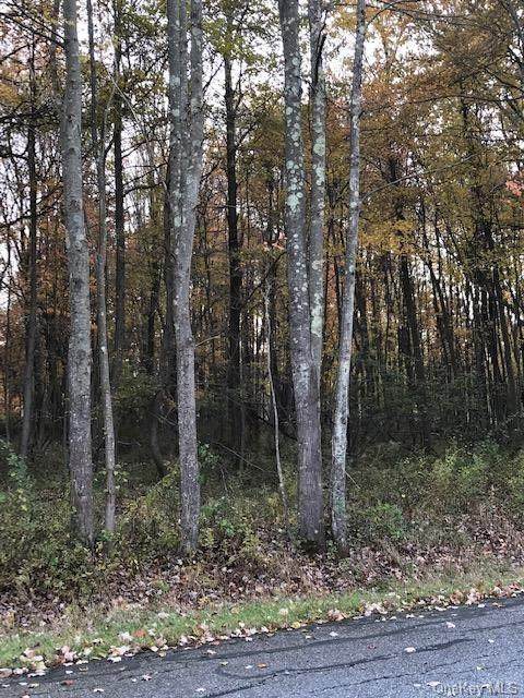 3405 Route 52 - Photo 1