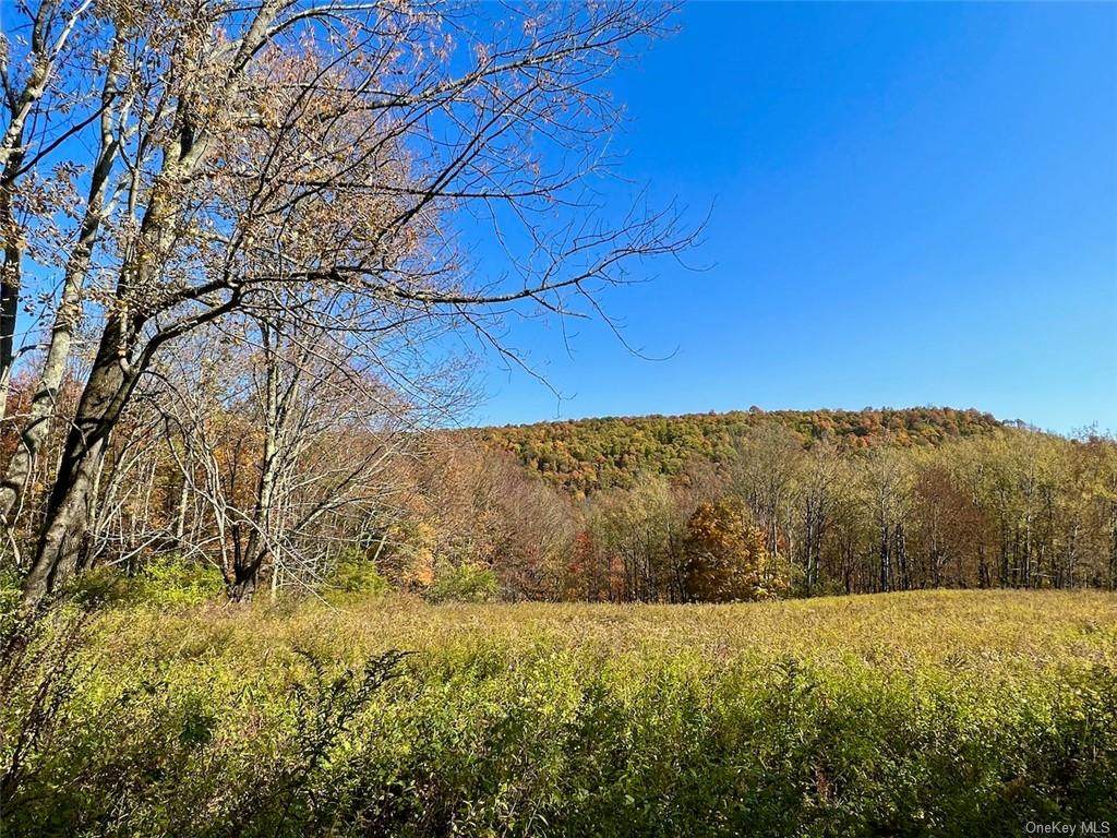 TBD Keller Road - Photo 1