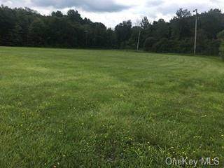 Route 52 & Route 216 - Photo 1