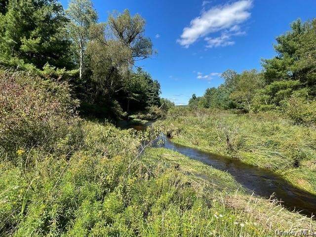 Lot 28 Gina Lane Tr 127 - Photo 1