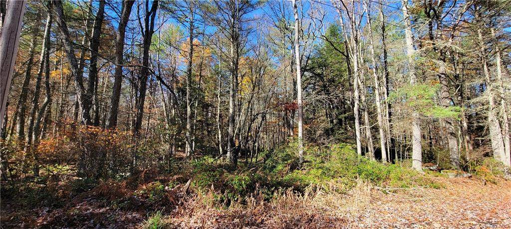 Lot 46 Forest Pond Road - Photo 1