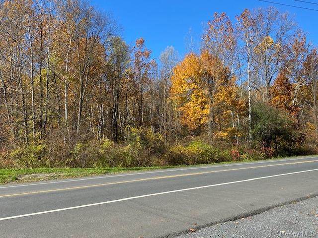 Route 9W - Photo 1