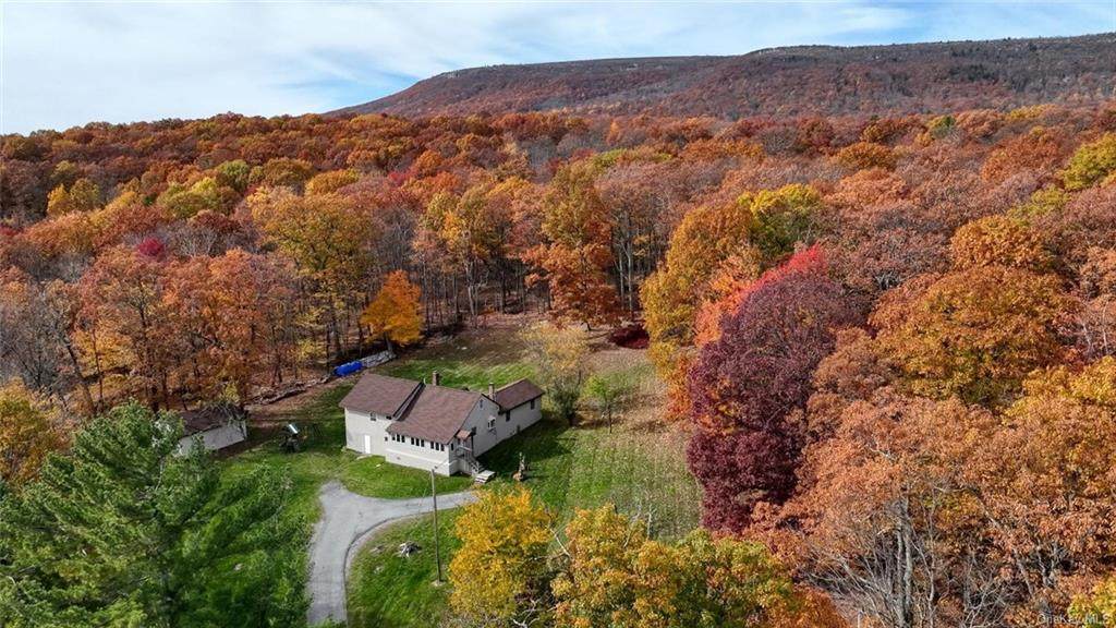 525 Upper Mountain Road - Photo 1