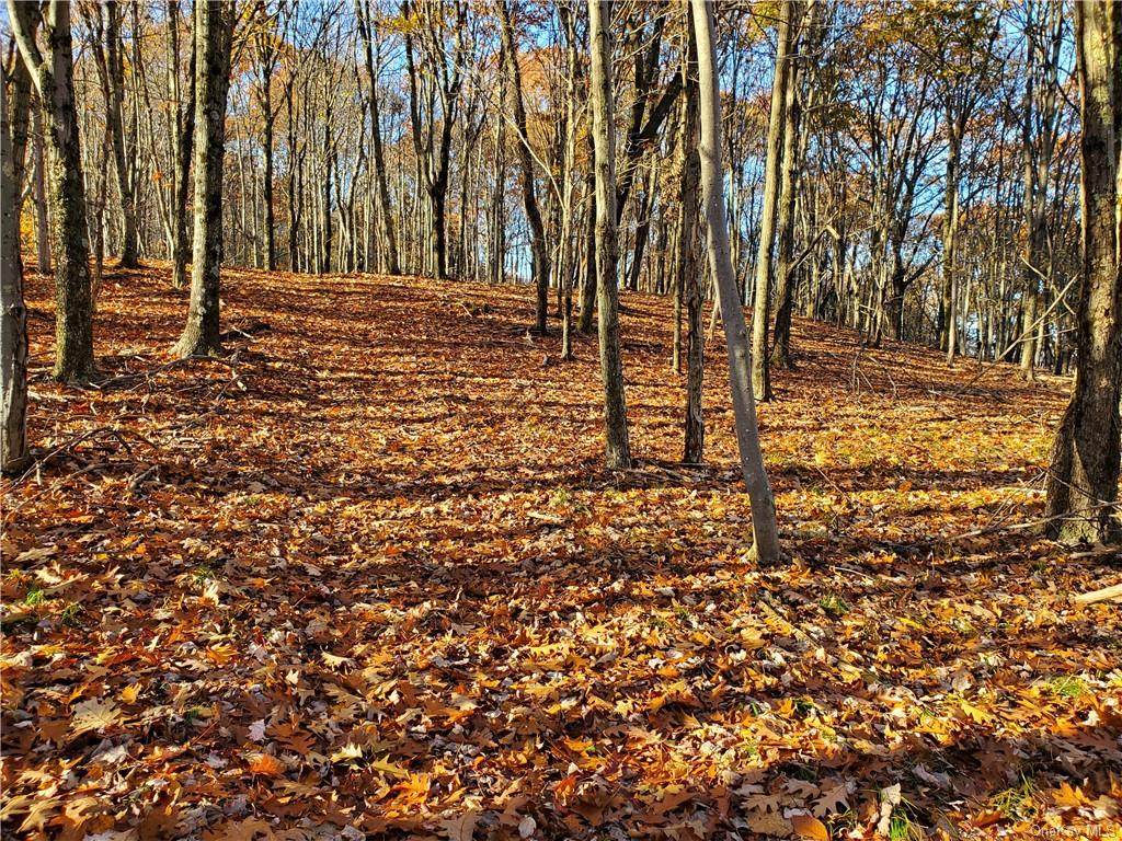 Skyline Drive - Photo 1