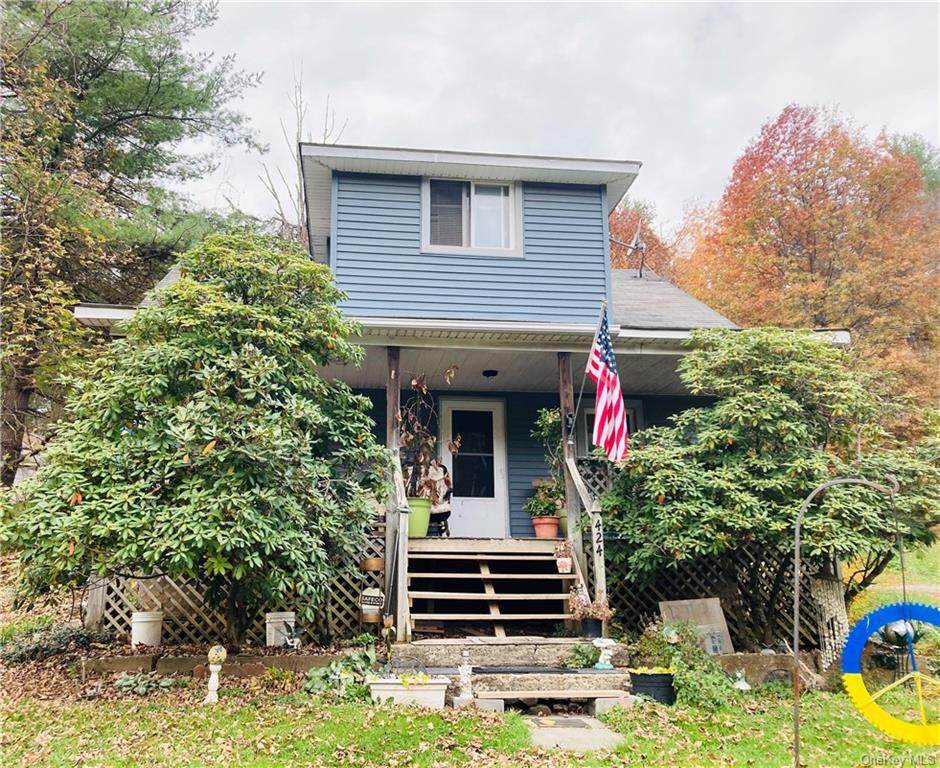 424 Mohonk Road - Photo 1