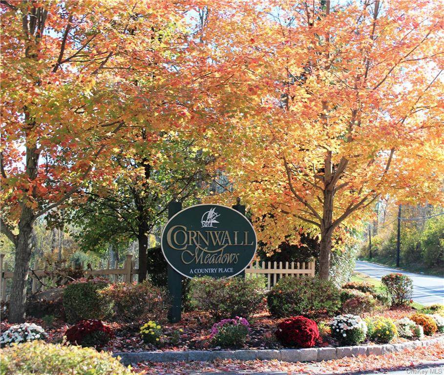 209 Cornwall Meadows Lane - Photo 1
