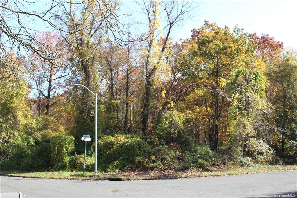 Lot 22 Rolling Hills Lane - Photo 1