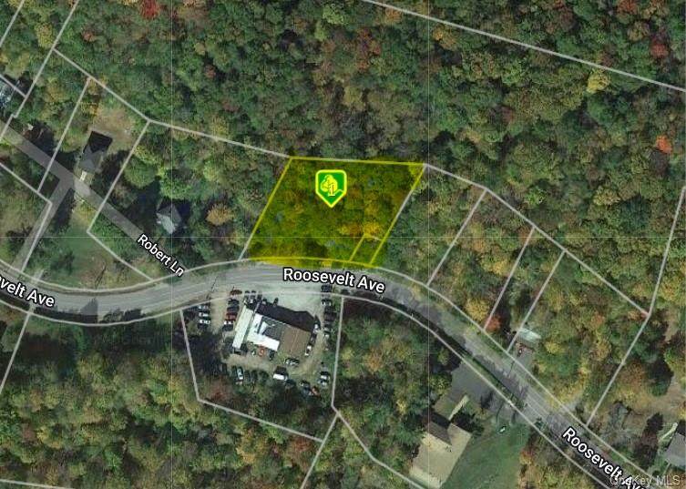 Roosevelt Ave County Rd 53 - Photo 1