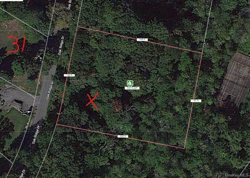 Lot 25 Oakridge Drive - Photo 1