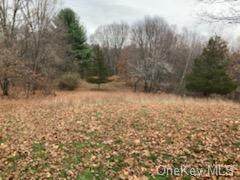 14 Ten Jen Acres - Photo 1