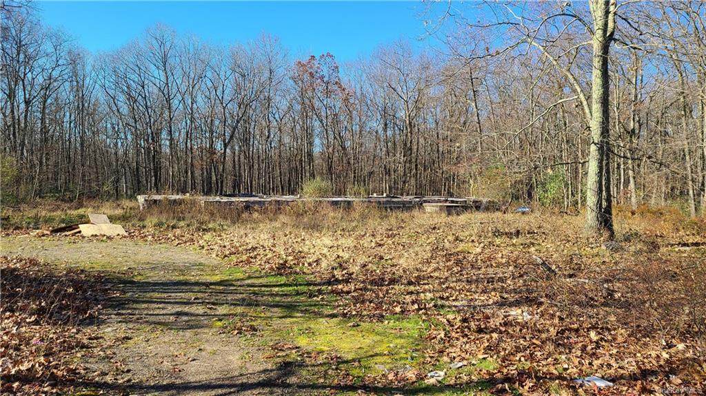 1243 Wurtsboro Mountain Road - Photo 1