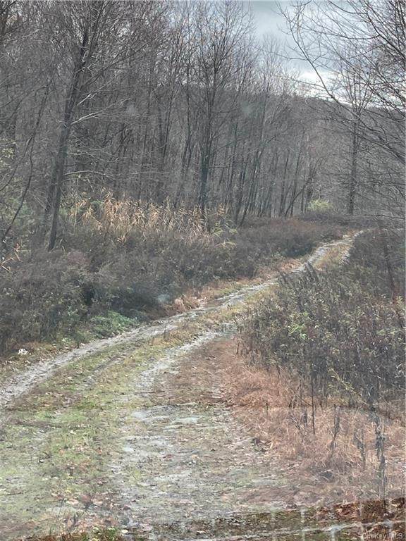 Milton Turnpike - Photo 1