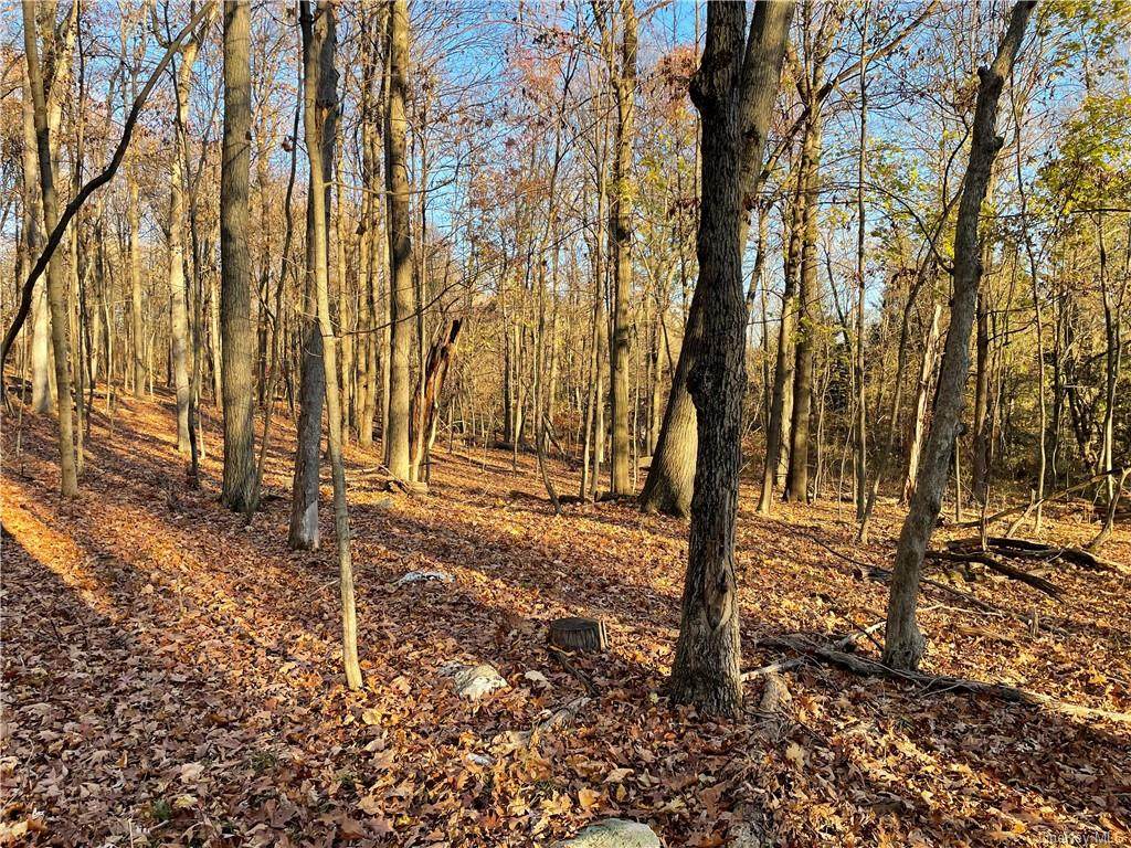 Oak Summit Road - Photo 1
