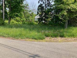 Maple Avenue - Photo 1