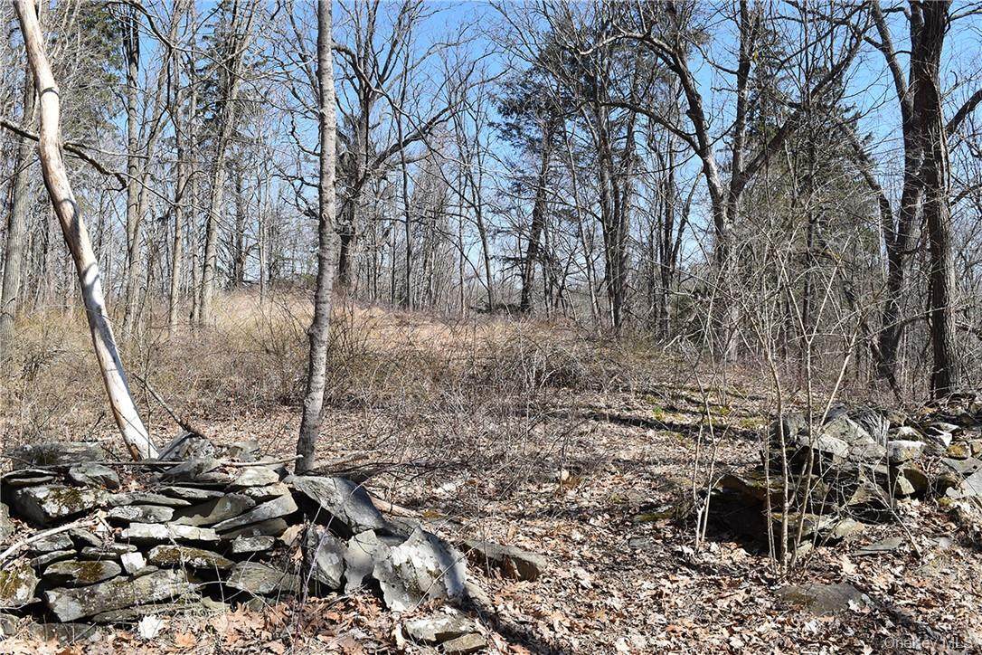 79-85 Miller Road - Photo 1