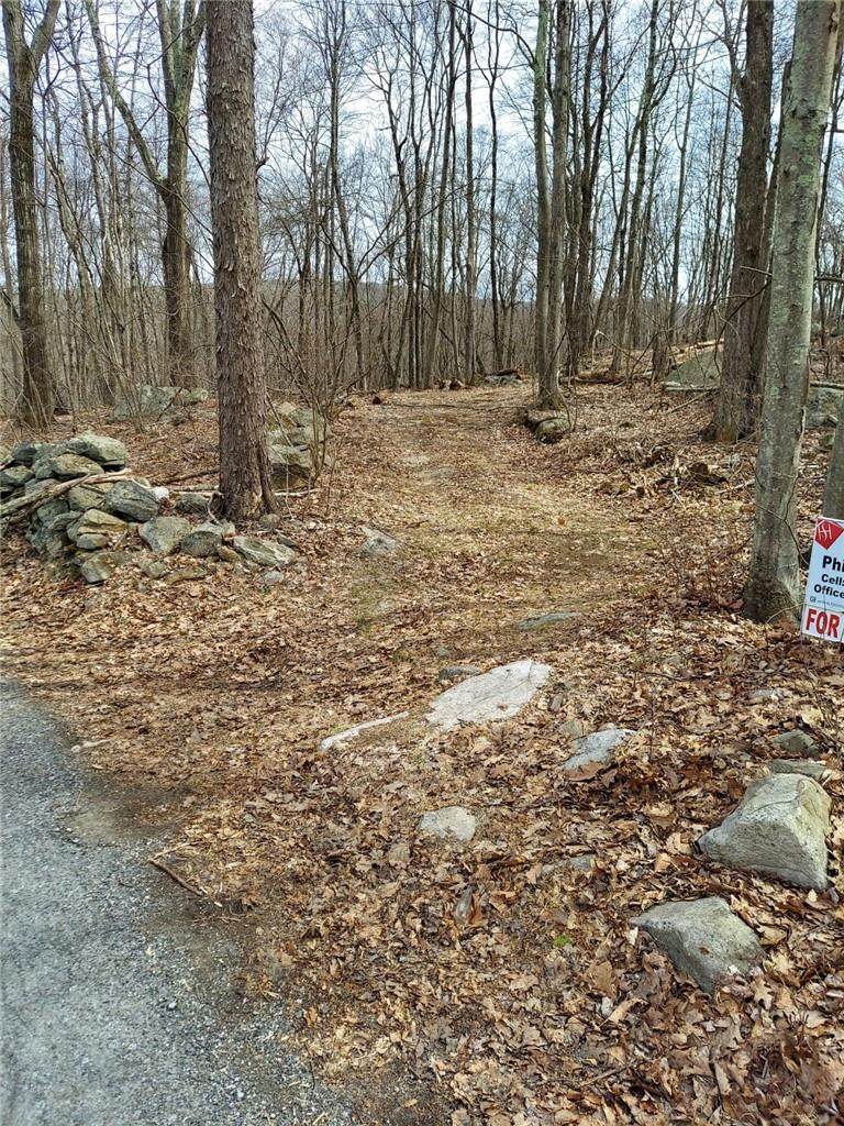 489 Grape Hollow Road - Photo 1