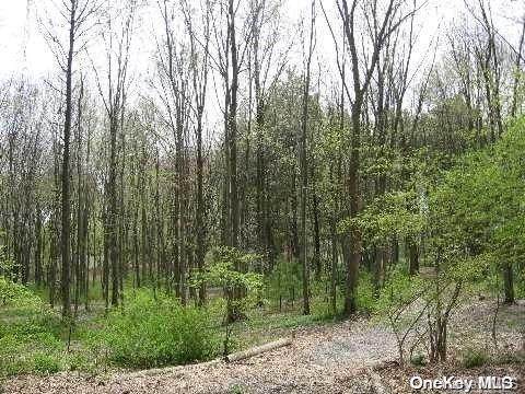 Lot #32-31 Lattingtown Road - Photo 1