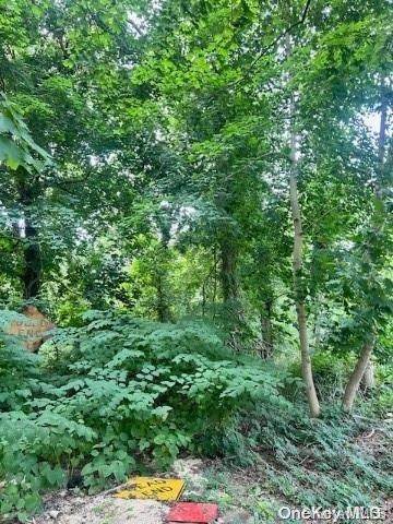 Lot 39 Lincoln Avenue - Photo 1