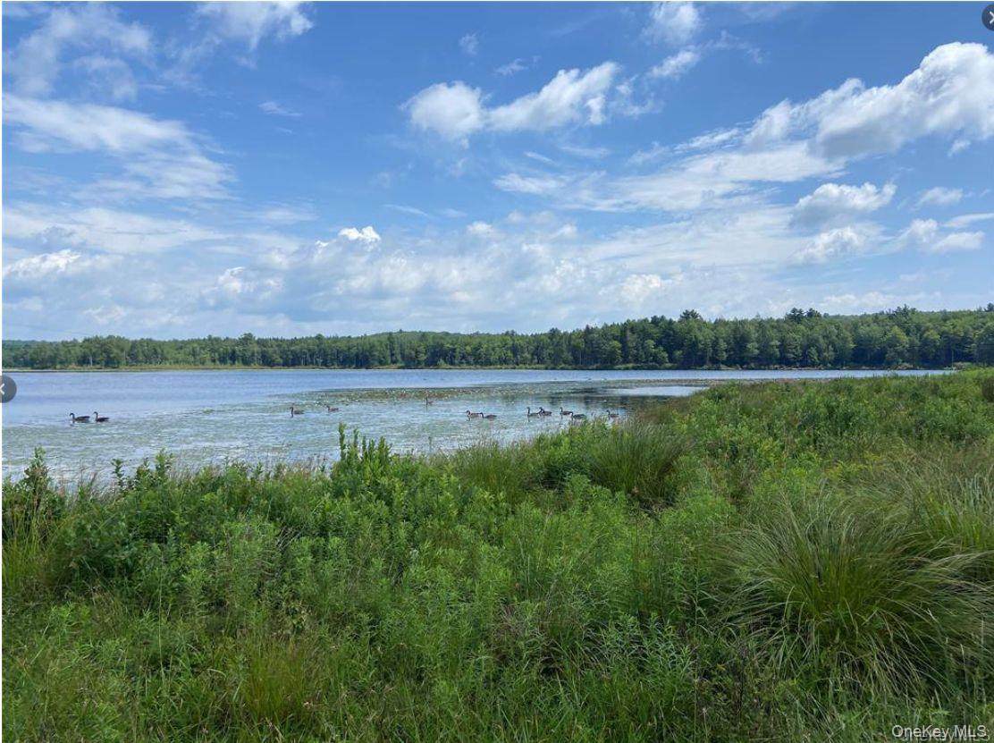 15 Bailey Lake Road - Photo 1
