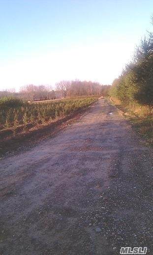 Longwood Road - Photo 1