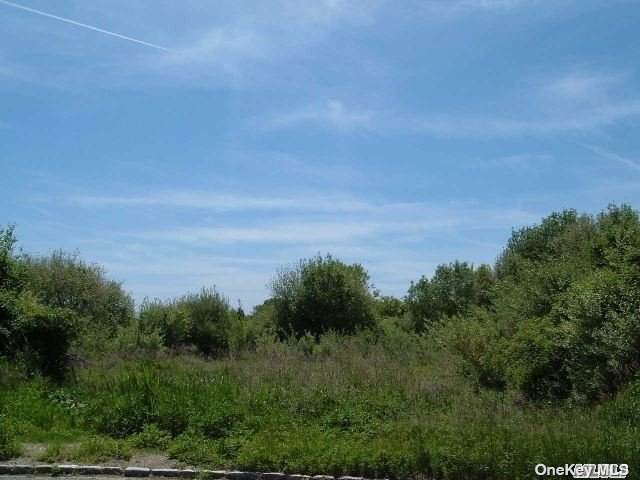 Lot 1.6 Brackenwood Path - Photo 1