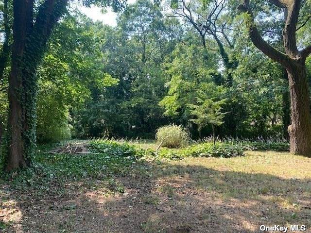 Lot 286 Salem Court - Photo 1