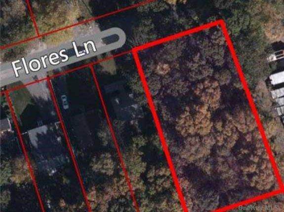 Flores Lane - Photo 1
