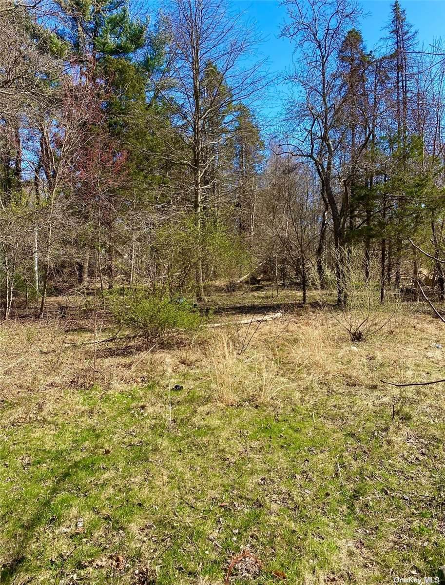 659 Wheeler Road - Photo 1