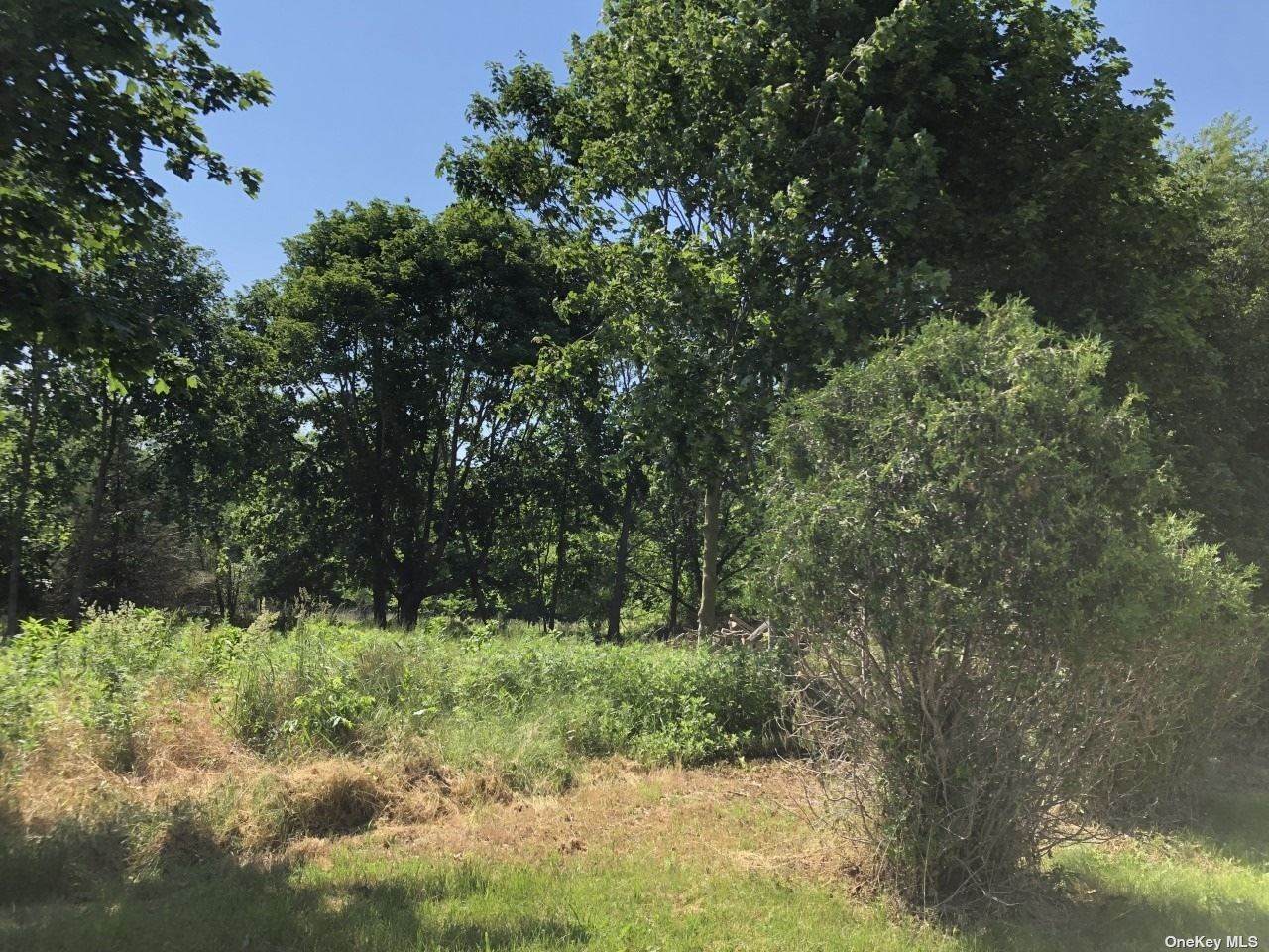 730 Main Road - Photo 1